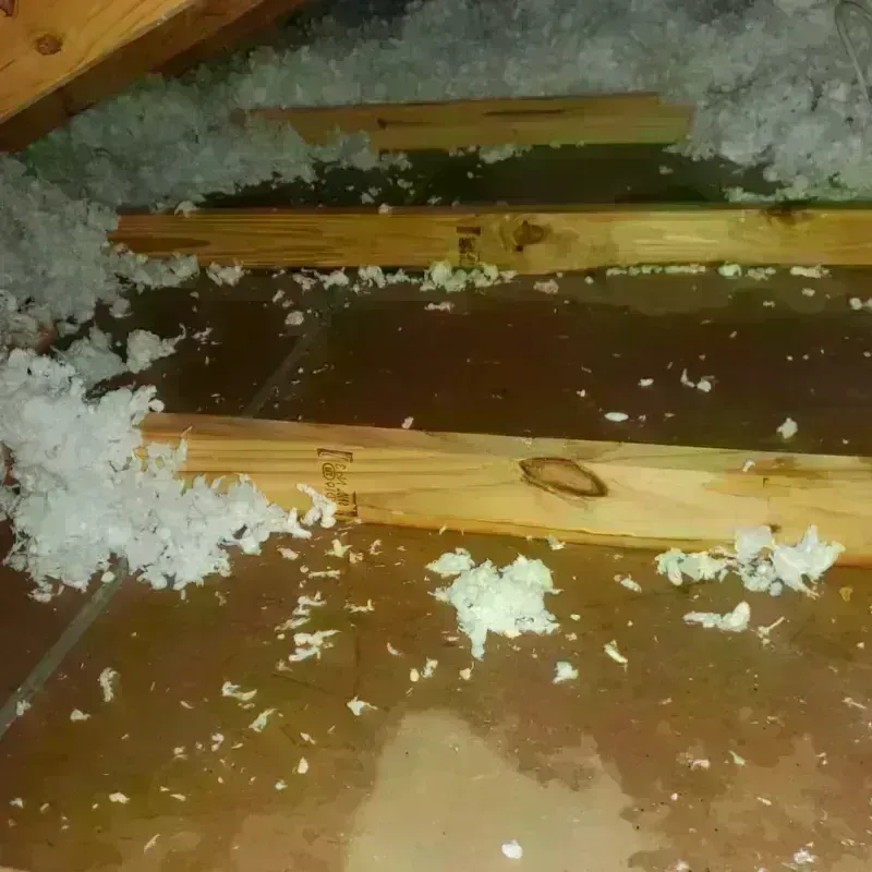 Attic Water Damage in Rehoboth, MA